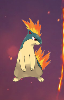 Quilava — Pokemon card artwork