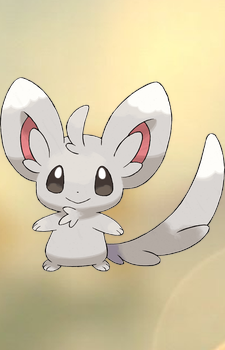 Minccino — Pokemon card artwork