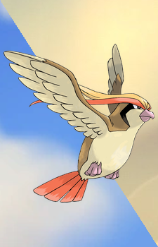 Pidgeot — Pokemon card artwork
