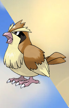 Pidgey — Pokemon card artwork