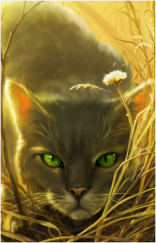 Dovewing — Warriors card artwork