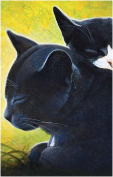 Ravenpaw — Warriors card artwork