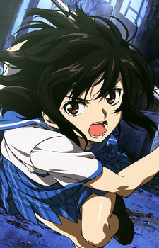 Himeragi Yukina — Strike the Blood artwork