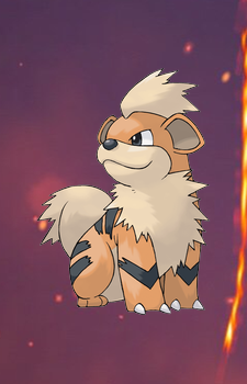 Growlithe — Pokemon card artwork