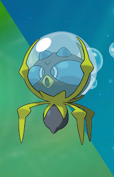 Dewpider — Pokemon card artwork