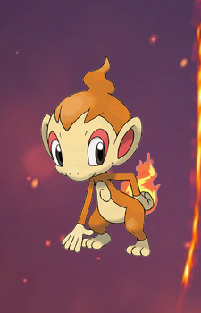 Chimchar — Pokemon card artwork