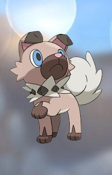 Rockruff — Pokemon card artwork
