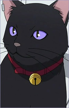 Mao — Darker than Black card artwork