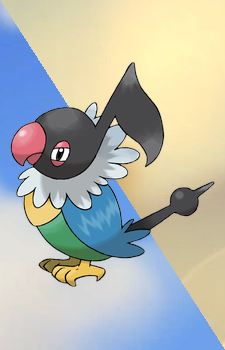 Chatot — Pokemon card artwork