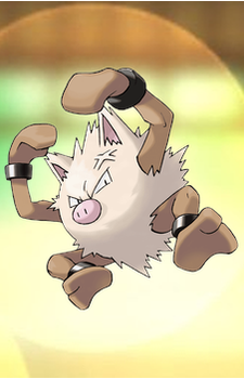 Primeape — Pokemon card artwork