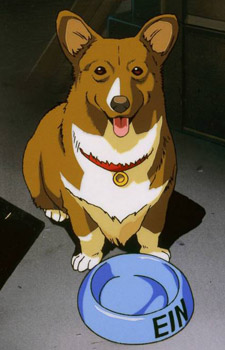 Ein — Cowboy Bebop artwork