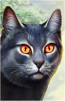 Gray Wing — Warriors card artwork