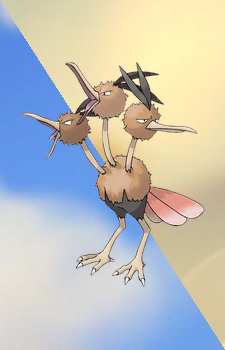 Dodrio — Pokemon card artwork