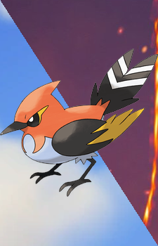 Fletchinder — Pokemon card artwork