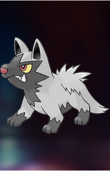 Poochyena — Pokemon card artwork