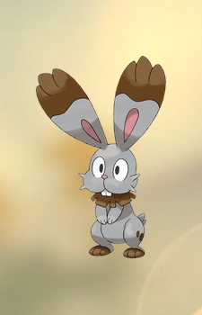 Bunnelby — Pokemon card artwork