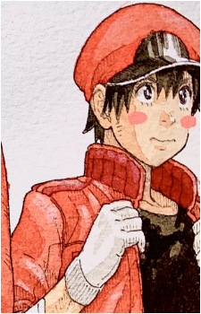 NC8429 — Cells at Work! card artwork