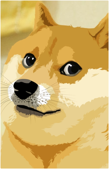 Doge — Meme card artwork