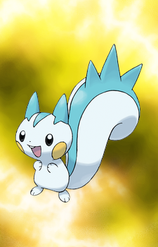 Pachirisu — Pokemon card artwork