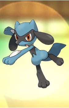 Riolu — Pokemon card artwork