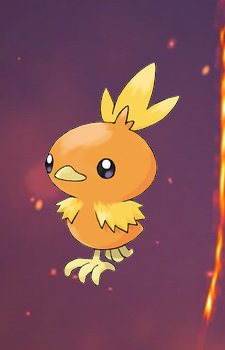 Torchic — Pokemon card artwork