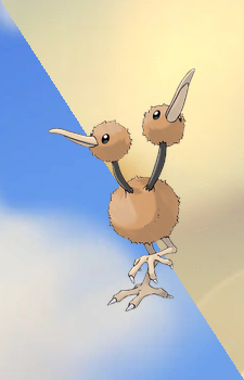 Doduo — Pokemon card artwork